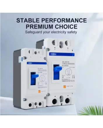 Tomzn DC MCCB Circuit Breaker 2 Pole 500V (250A/125A) for Solar Panels & Lithium Battery